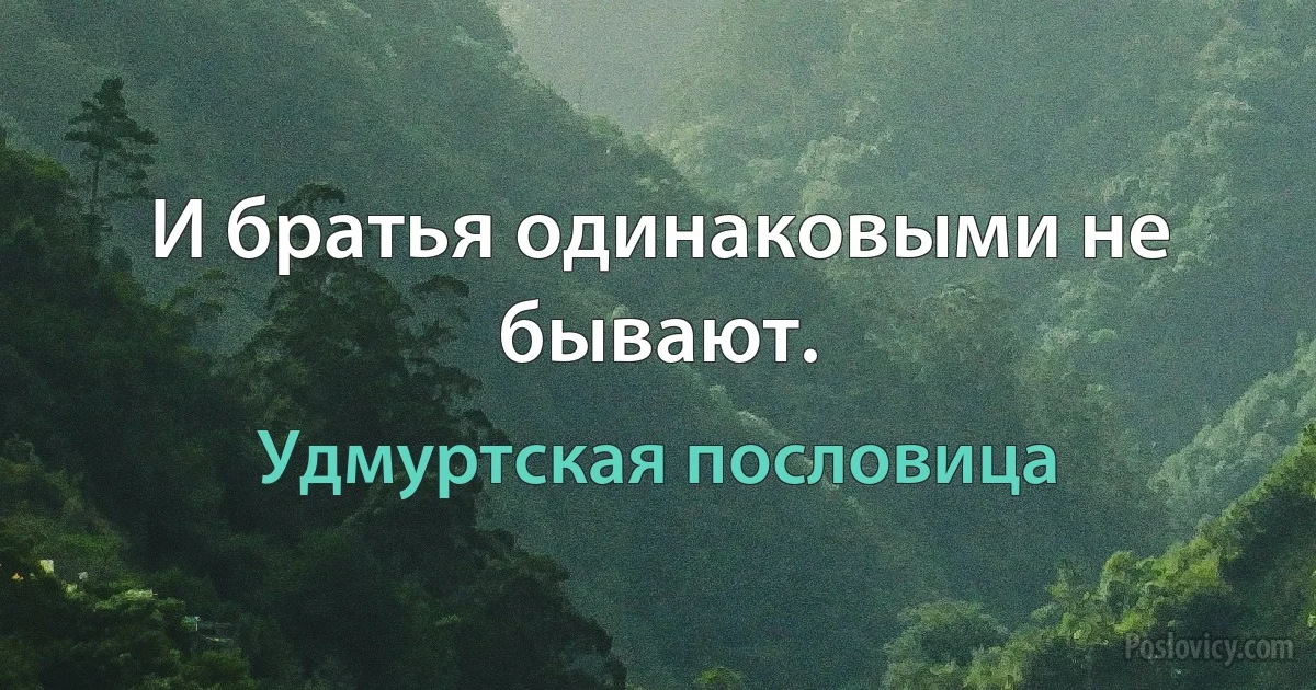 И братья одинаковыми не бывают. (Удмуртская пословица)