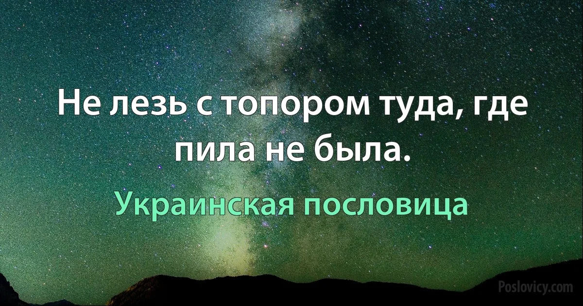 Не лезь с топором туда, где пила не была. (Украинская пословица)