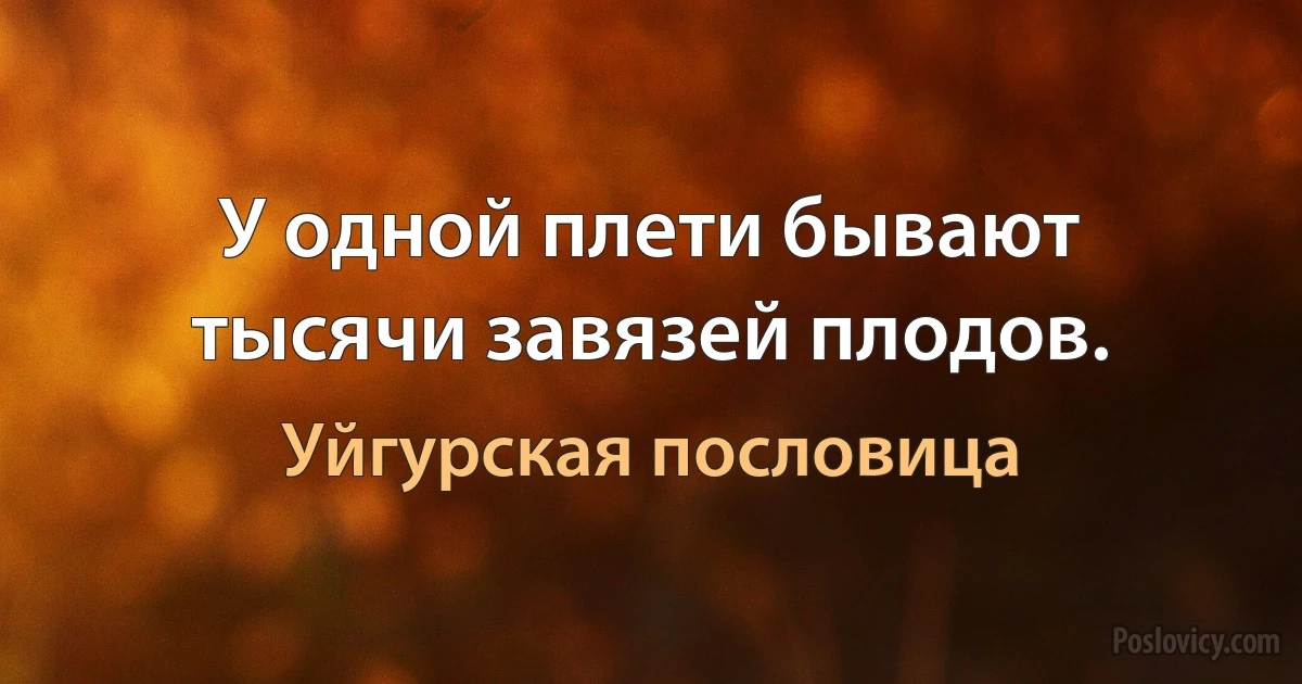 У одной плети бывают тысячи завязей плодов. (Уйгурская пословица)