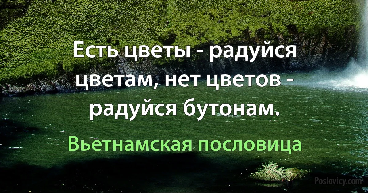 Есть цветы - радуйся цветам, нет цветов - радуйся бутонам. (Вьетнамская пословица)