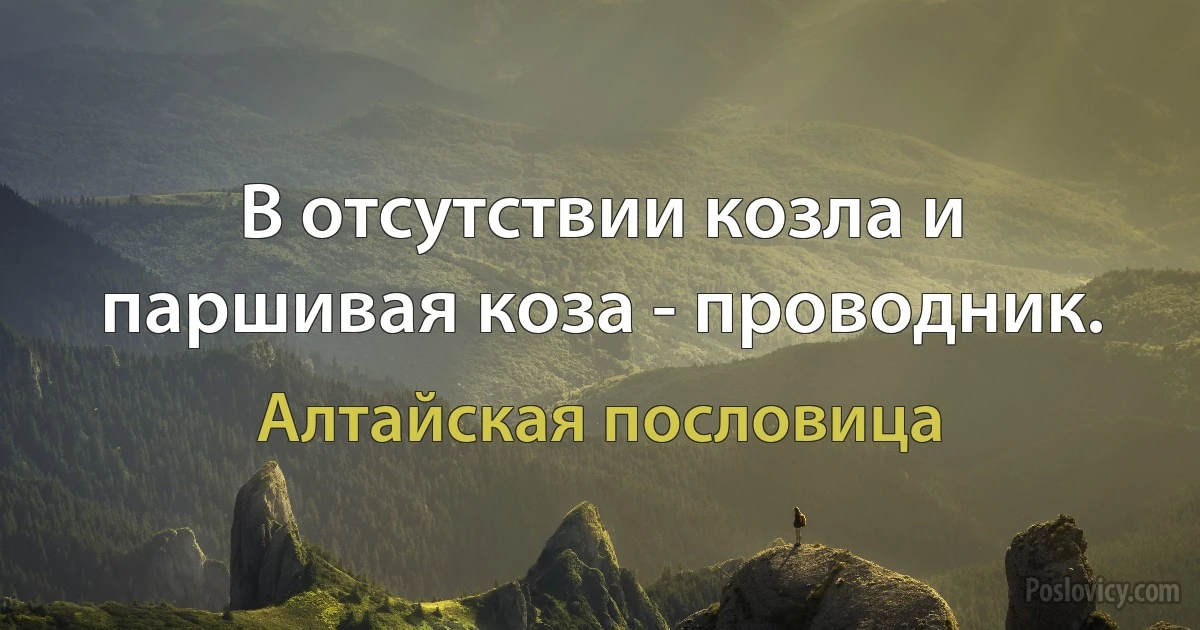 В отсутствии козла и паршивая коза - проводник. (Алтайская пословица)