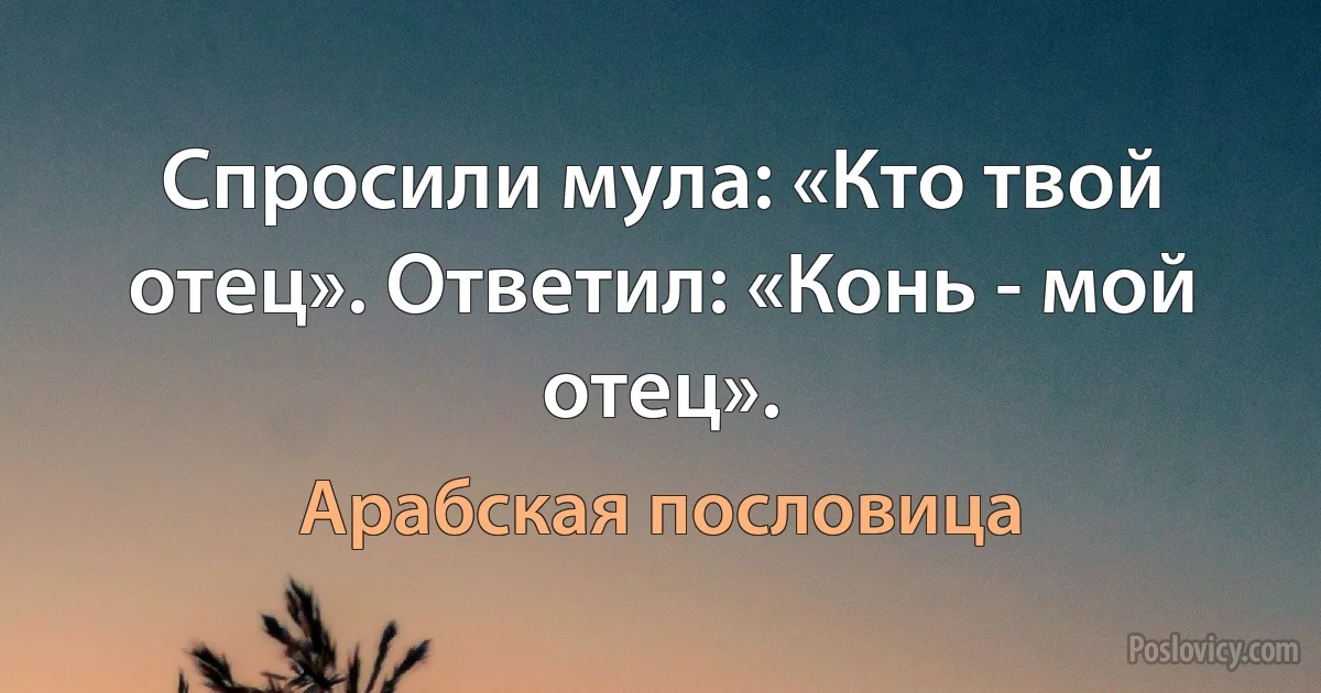 Спросили мула: «Кто твой отец». Ответил: «Конь - мой отец». (Арабская пословица)