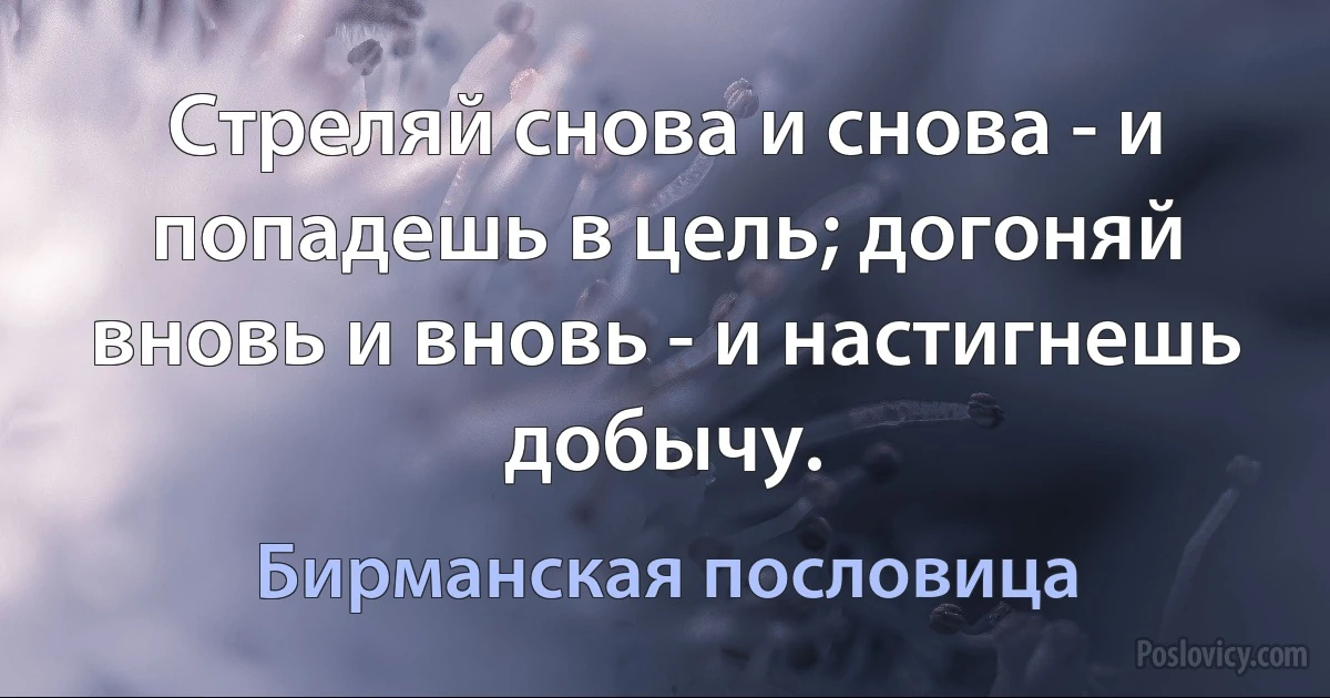 Стреляй снова и снова - и попадешь в цель; догоняй вновь и вновь - и настигнешь добычу. (Бирманская пословица)