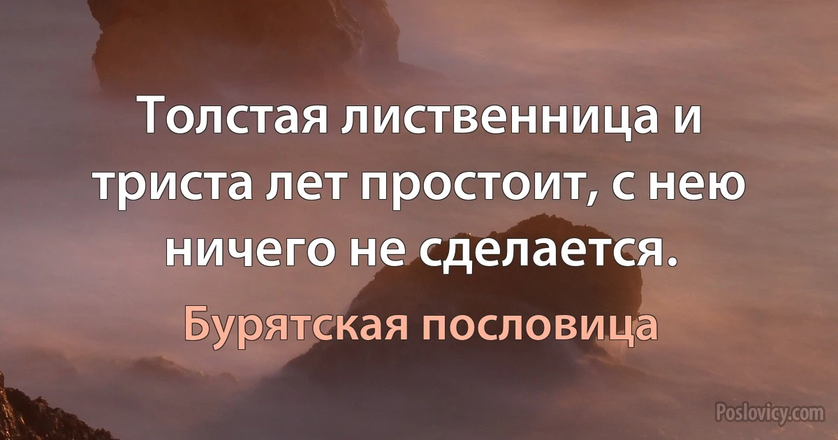 Толстая лиственница и триста лет простоит, с нею ничего не сделается. (Бурятская пословица)