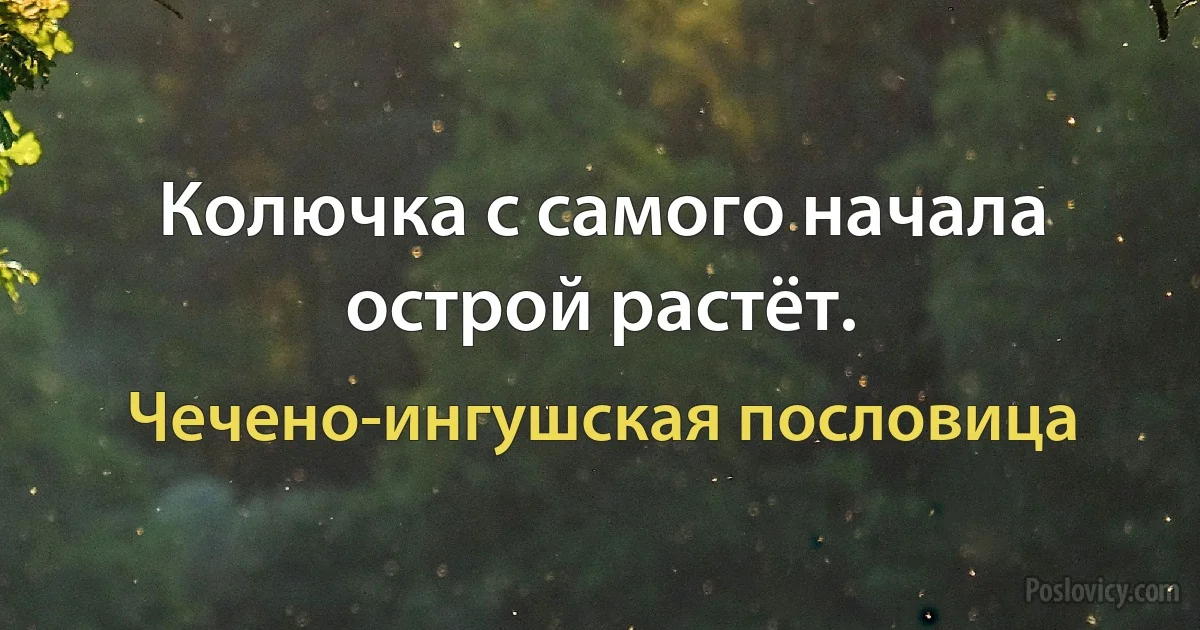 Колючка с самого начала острой растёт. (Чечено-ингушская пословица)