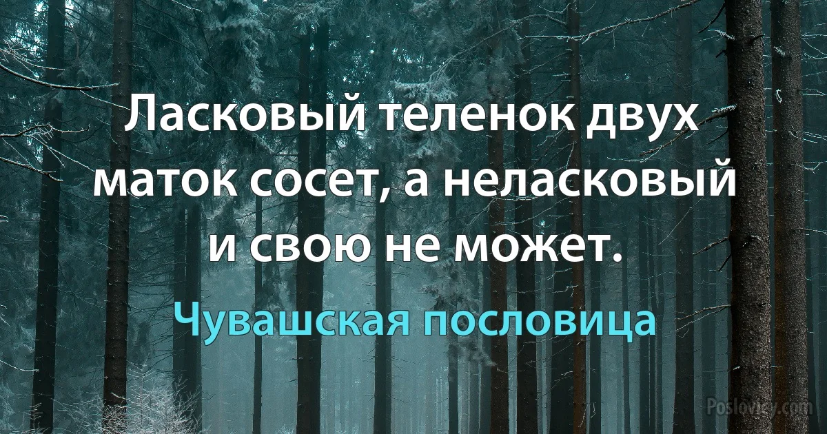 Ласковый теленок двух маток сосет, а неласковый и свою не может. (Чувашская пословица)