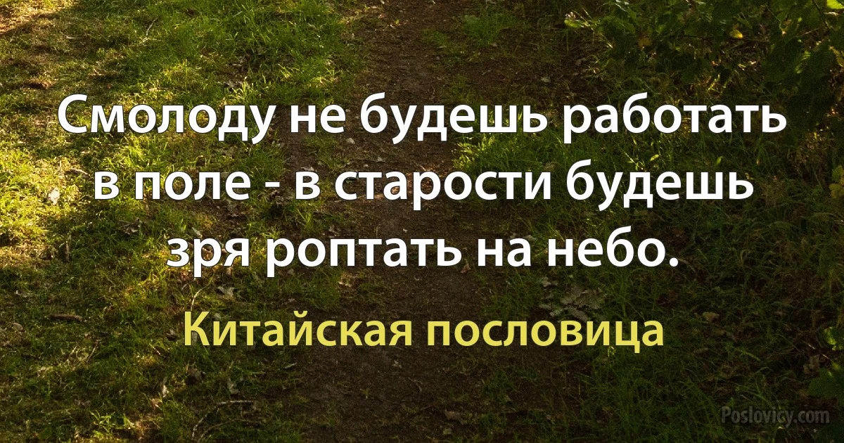 Смолоду не будешь работать в поле - в старости будешь зря роптать на небо. (Китайская пословица)