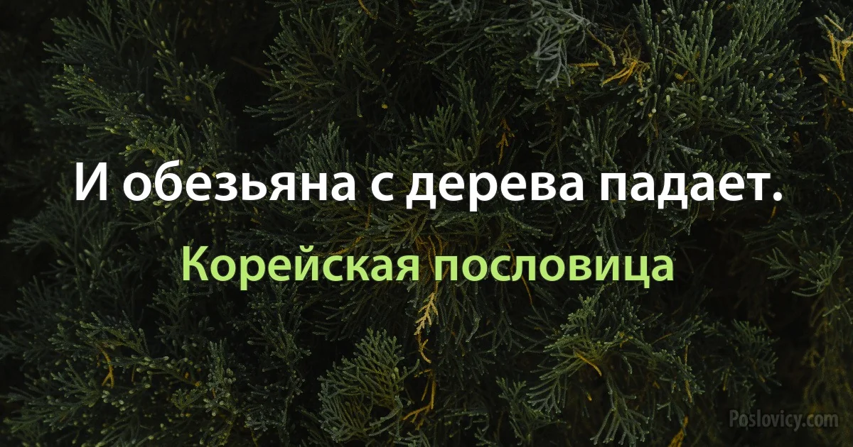 И обезьяна с дерева падает. (Корейская пословица)