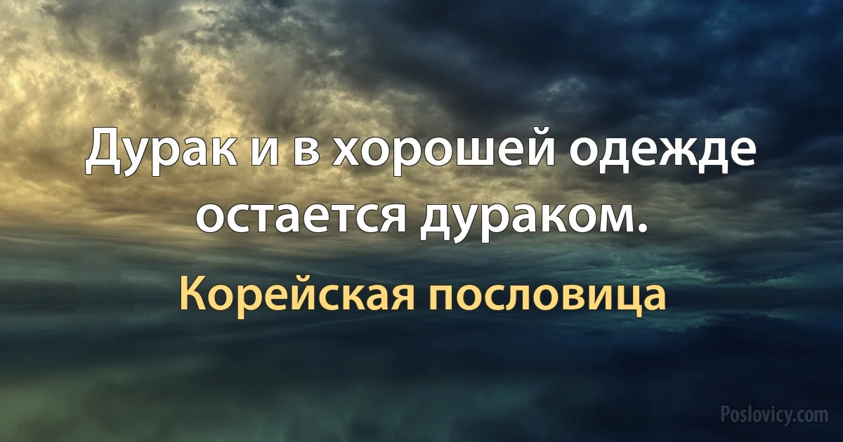 Дурак и в хорошей одежде остается дураком. (Корейская пословица)