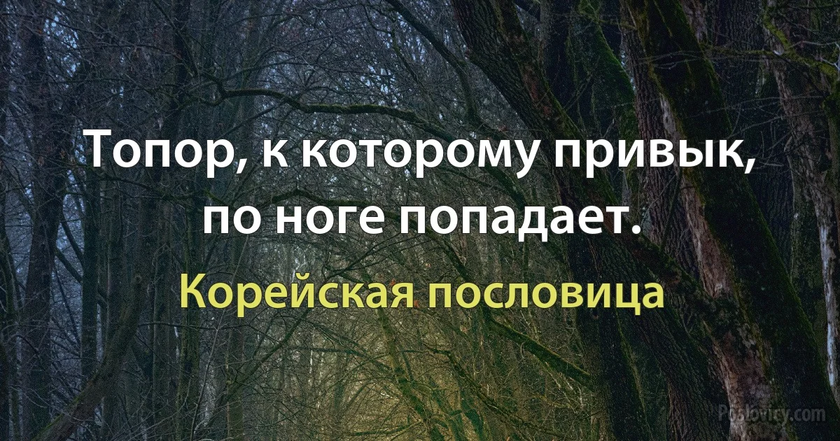 Топор, к которому привык, по ноге попадает. (Корейская пословица)