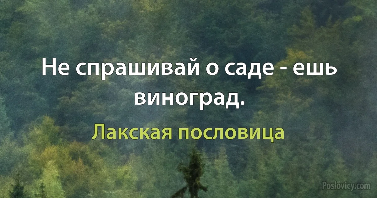 Не спрашивай о саде - ешь виноград. (Лакская пословица)