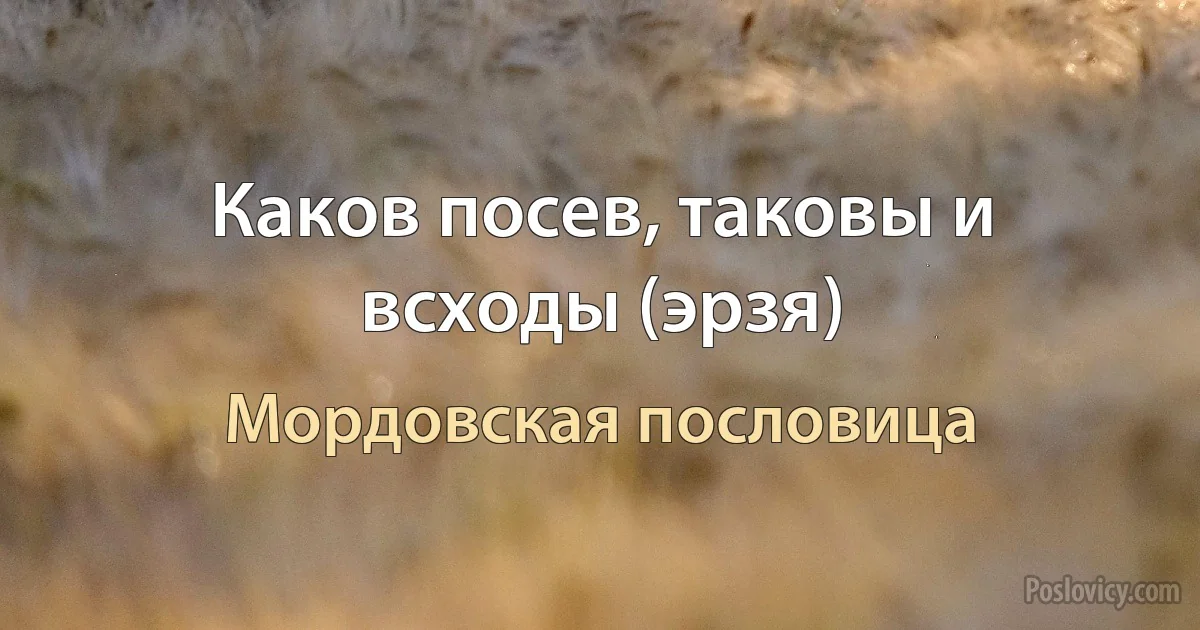 Каков посев, таковы и всходы (эрзя) (Мордовская пословица)