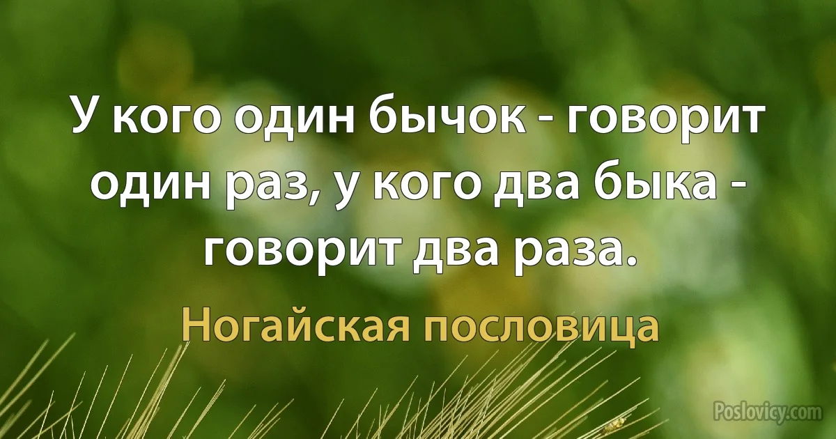 У кого один бычок - говорит один раз, у кого два быка - говорит два раза. (Ногайская пословица)