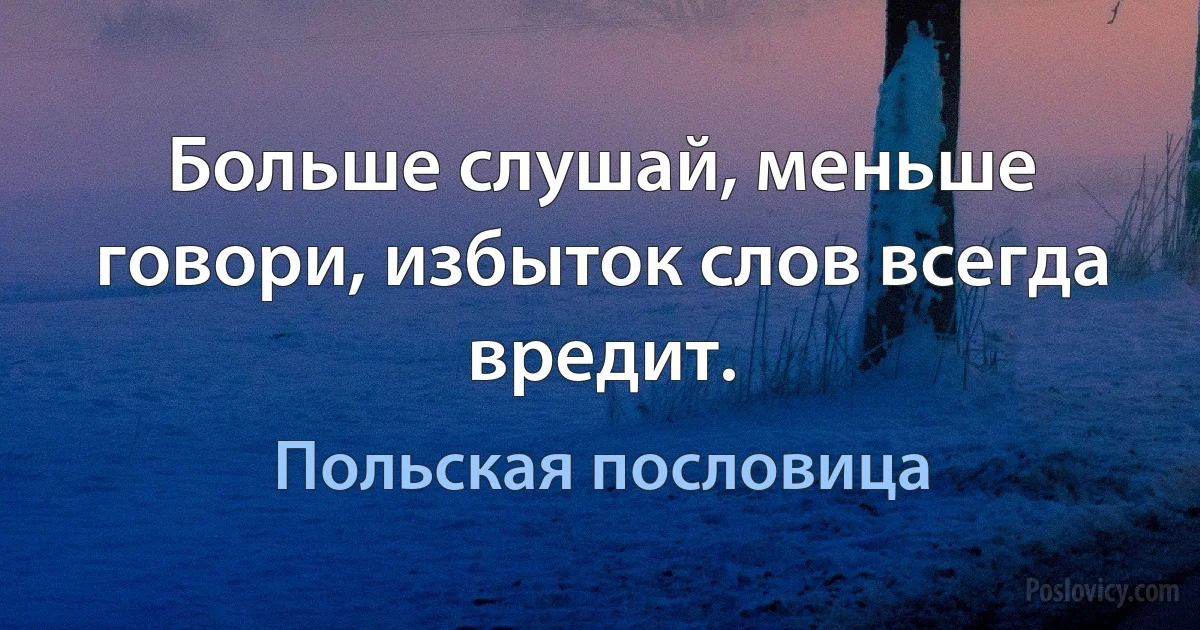 Больше слушай, меньше говори, избыток слов всегда вредит. (Польская пословица)