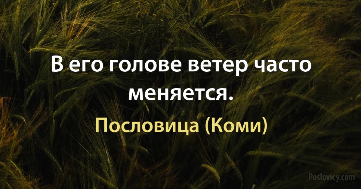 В его голове ветер часто меняется. (Пословица (Коми))