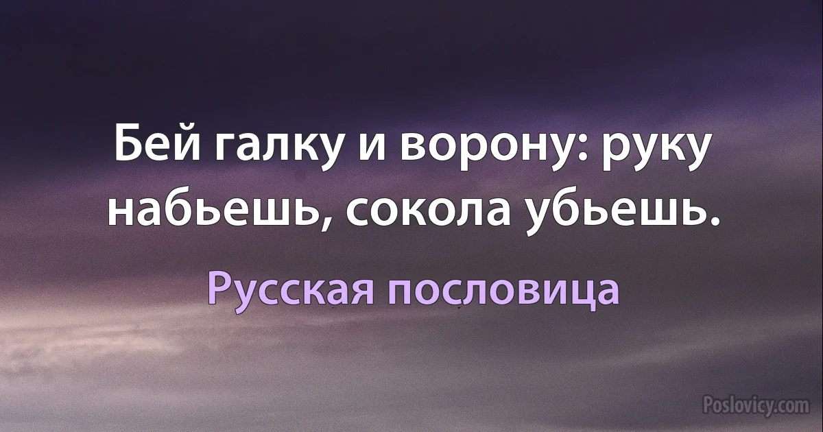 Бей галку и ворону: руку набьешь, сокола убьешь. (Русская пословица)