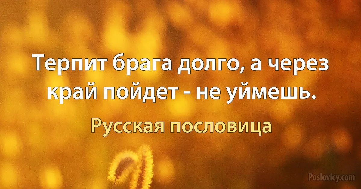 Терпит брага долго, а через край пойдет - не уймешь. (Русская пословица)