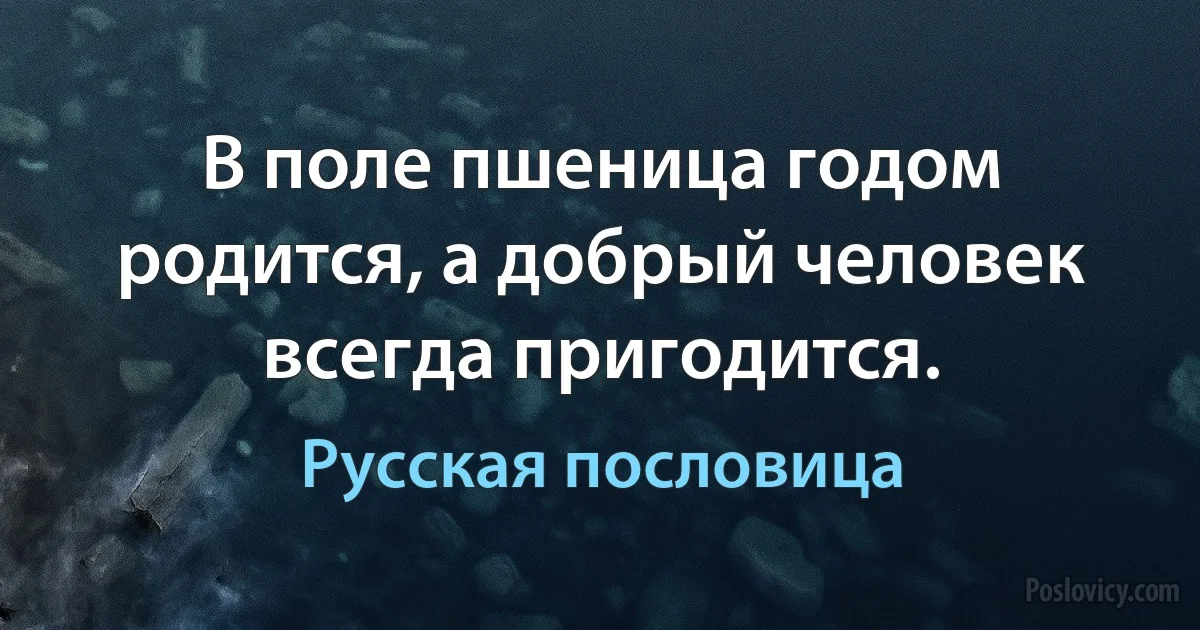 В поле пшеница годом родится, а добрый человек всегда пригодится. (Русская пословица)