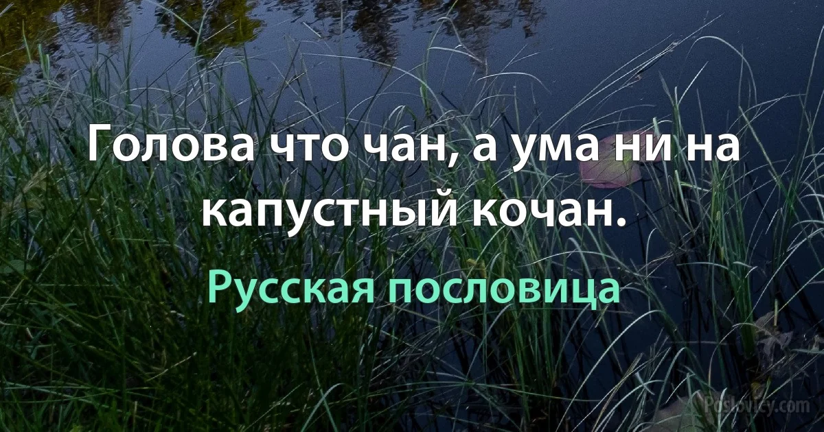 Голова что чан, а ума ни на капустный кочан. (Русская пословица)