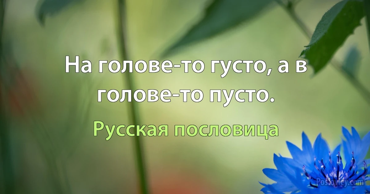 На голове-то густо, а в голове-то пусто. (Русская пословица)