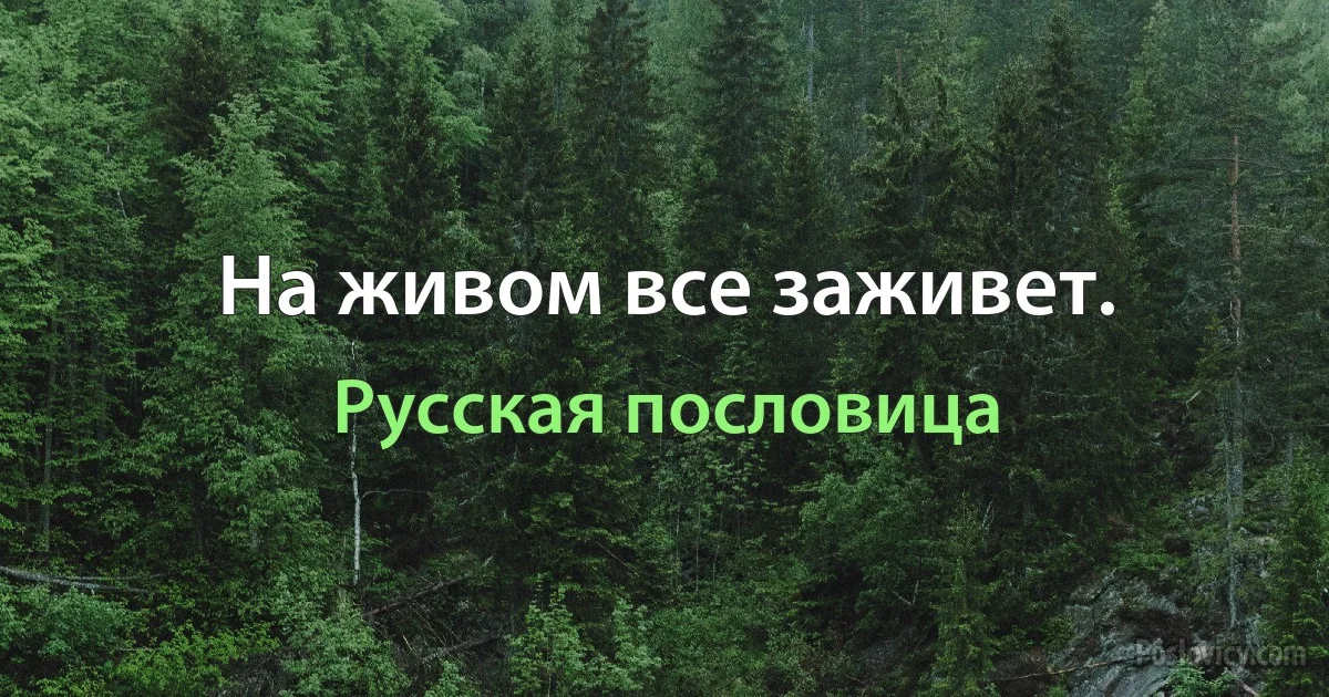 На живом все заживет. (Русская пословица)