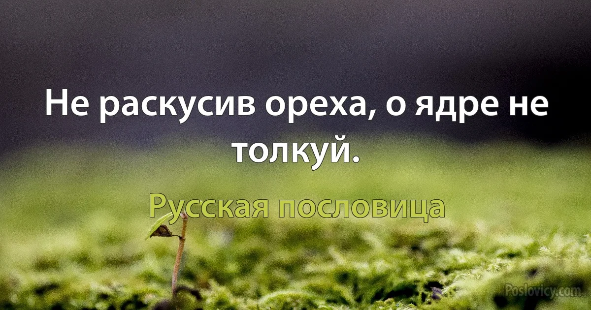 Не раскусив ореха, о ядре не толкуй. (Русская пословица)