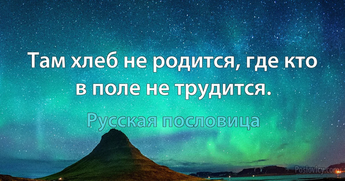 Там хлеб не родится, где кто в поле не трудится. (Русская пословица)