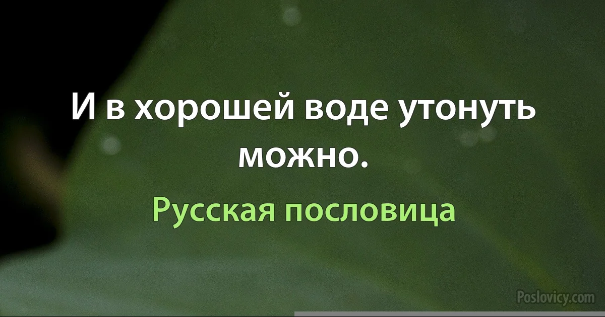 И в хорошей воде утонуть можно. (Русская пословица)