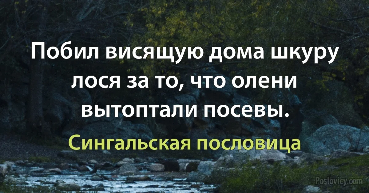 Побил висящую дома шкуру лося за то, что олени вытоптали посевы. (Сингальская пословица)