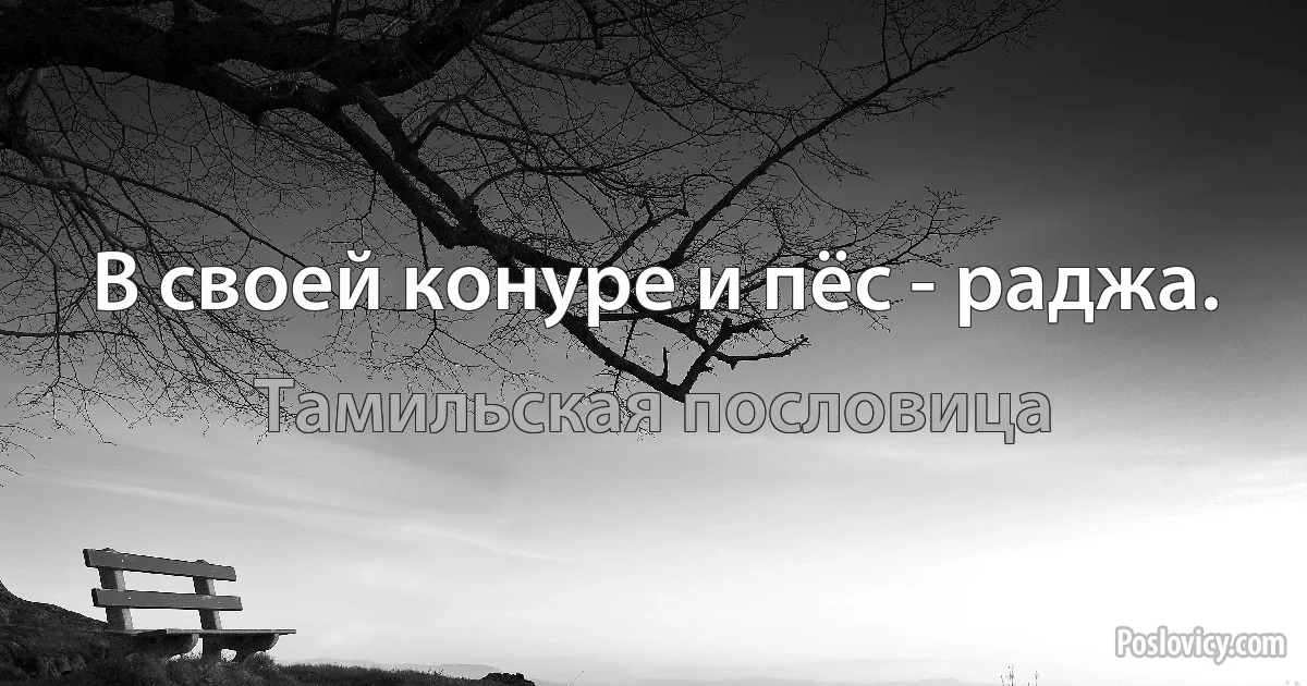 В своей конуре и пёс - раджа. (Тамильская пословица)