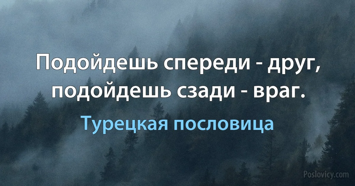 Подойдешь спереди - друг, подойдешь сзади - враг. (Турецкая пословица)