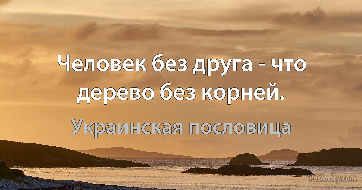 Человек без друга - что дерево без корней. (Украинская пословица)