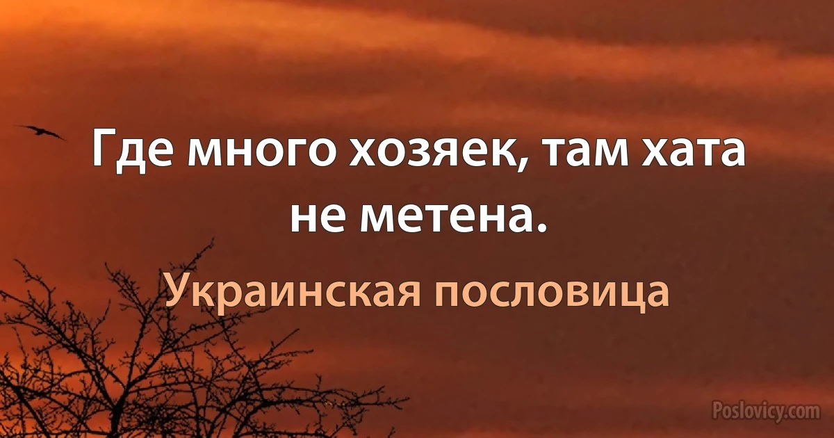 Где много хозяек, там хата не метена. (Украинская пословица)