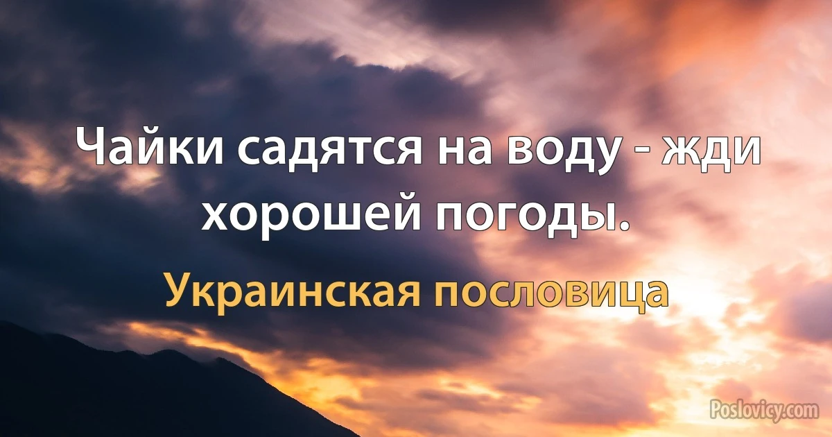 Чайки садятся на воду - жди хорошей погоды. (Украинская пословица)