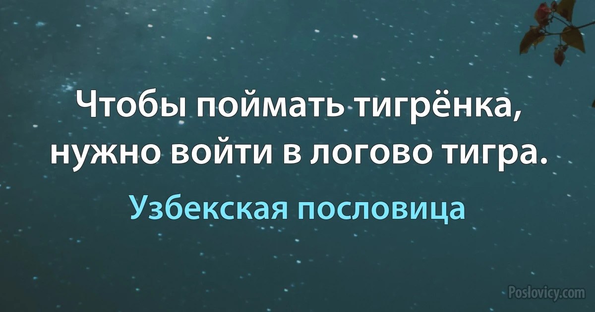 Чтобы поймать тигрёнка, нужно войти в логово тигра. (Узбекская пословица)