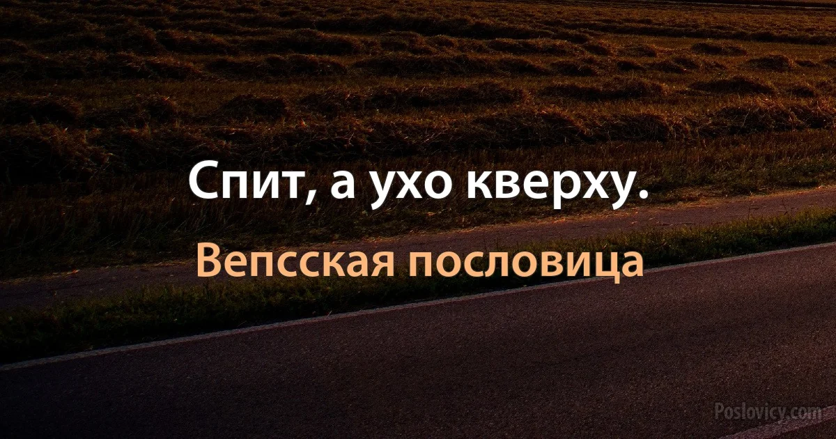 Спит, а ухо кверху. (Вепсская пословица)