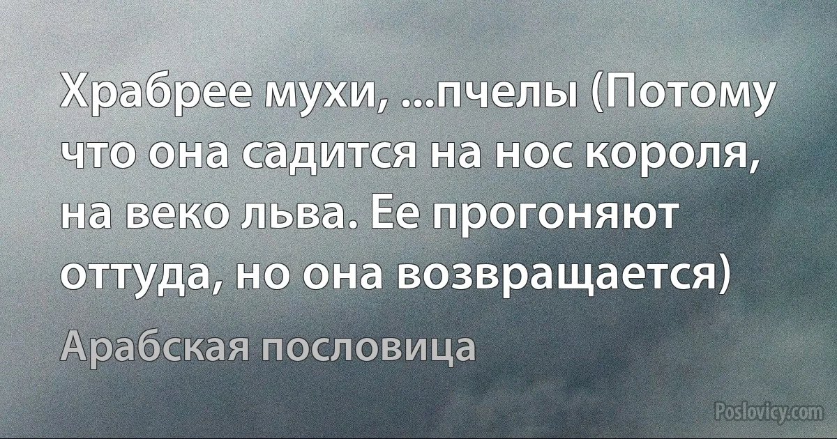 Храбрее мухи, ...пчелы (Потому что она садится на нос короля, на веко льва. Ее прогоняют оттуда, но она возвращается) (Арабская пословица)