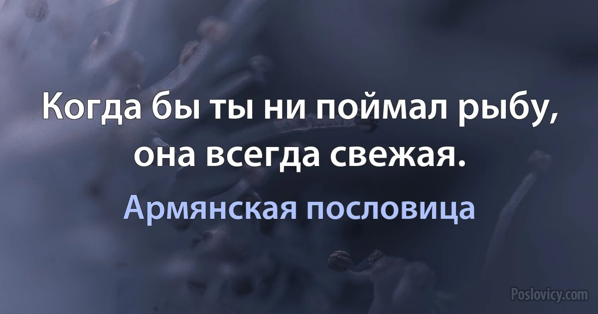 Когда бы ты ни поймал рыбу, она всегда свежая. (Армянская пословица)