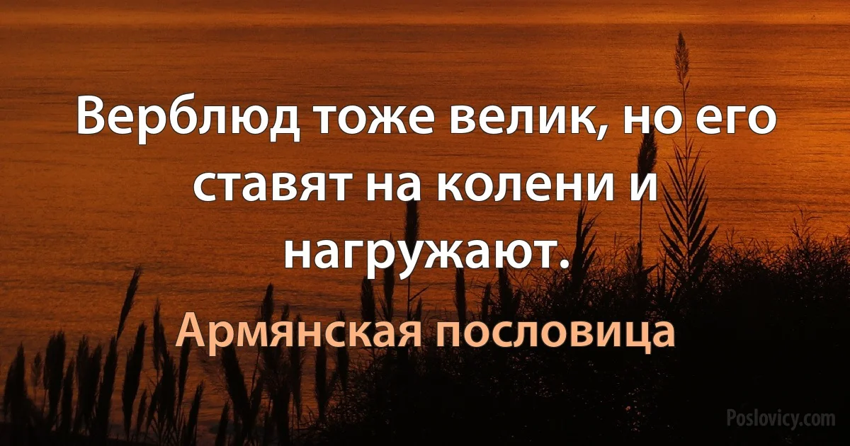 Верблюд тоже велик, но его ставят на колени и нагружают. (Армянская пословица)