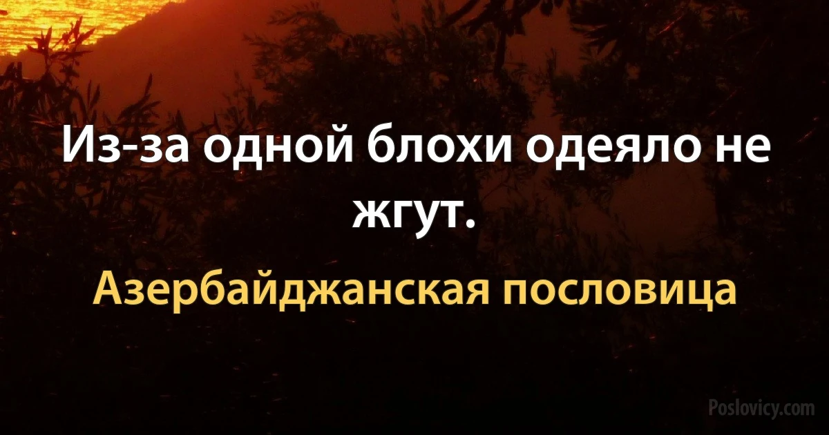 Из-за одной блохи одеяло не жгут. (Азербайджанская пословица)