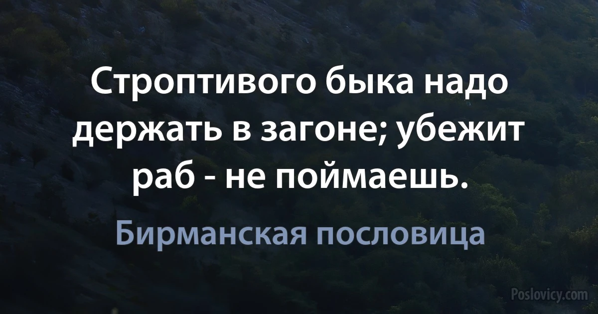 Строптивого быка надо держать в загоне; убежит раб - не поймаешь. (Бирманская пословица)