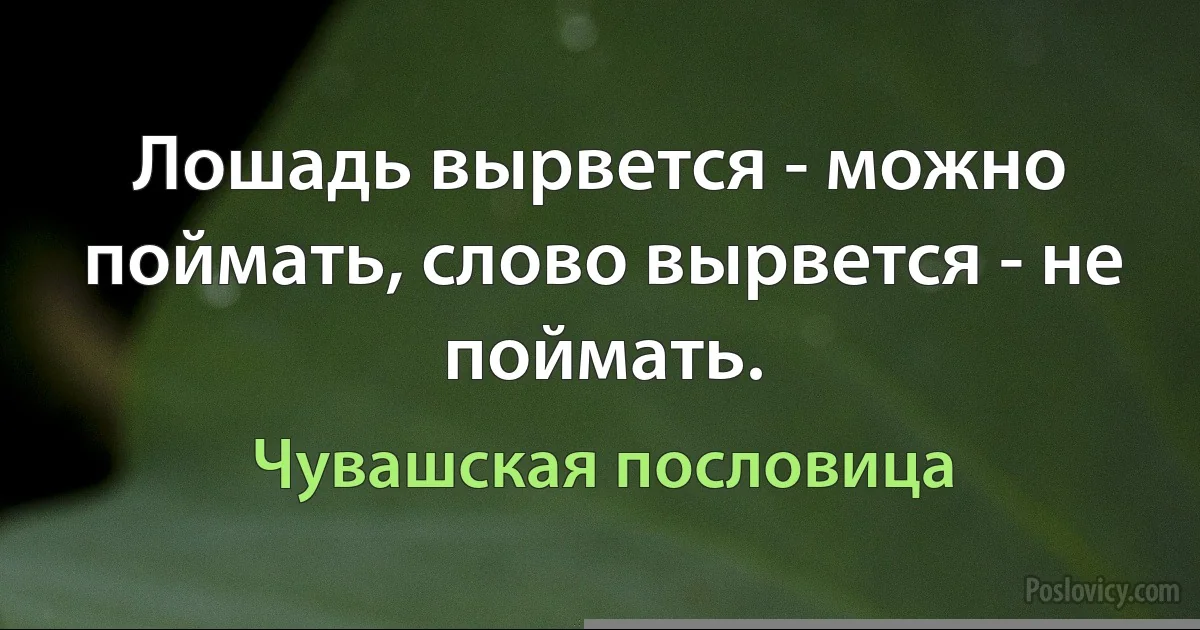 Лошадь вырвется - можно поймать, слово вырвется - не поймать. (Чувашская пословица)