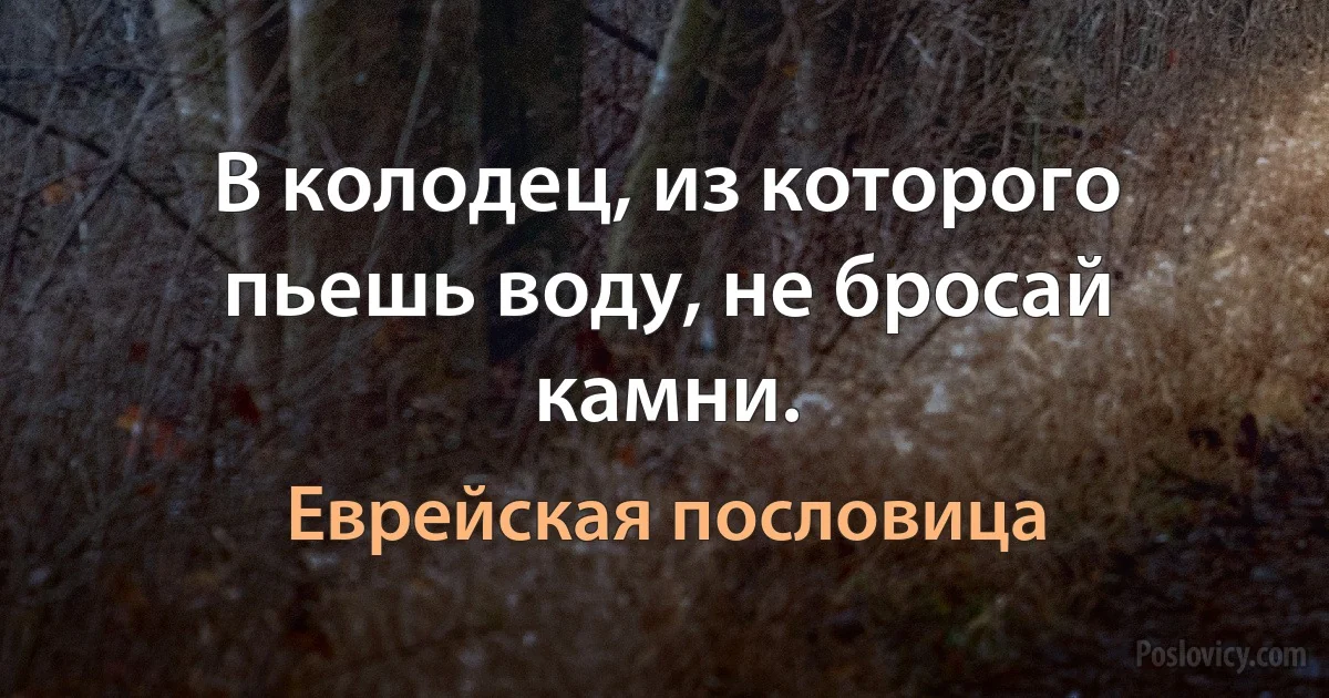 В колодец, из которого пьешь воду, не бросай камни. (Еврейская пословица)