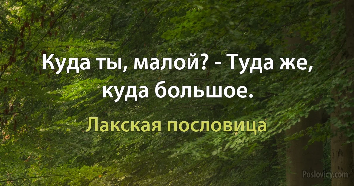 Куда ты, малой? - Туда же, куда большое. (Лакская пословица)