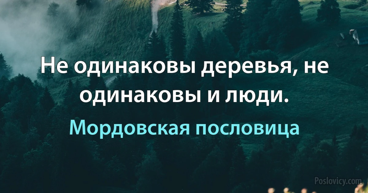 Не одинаковы деревья, не одинаковы и люди. (Мордовская пословица)