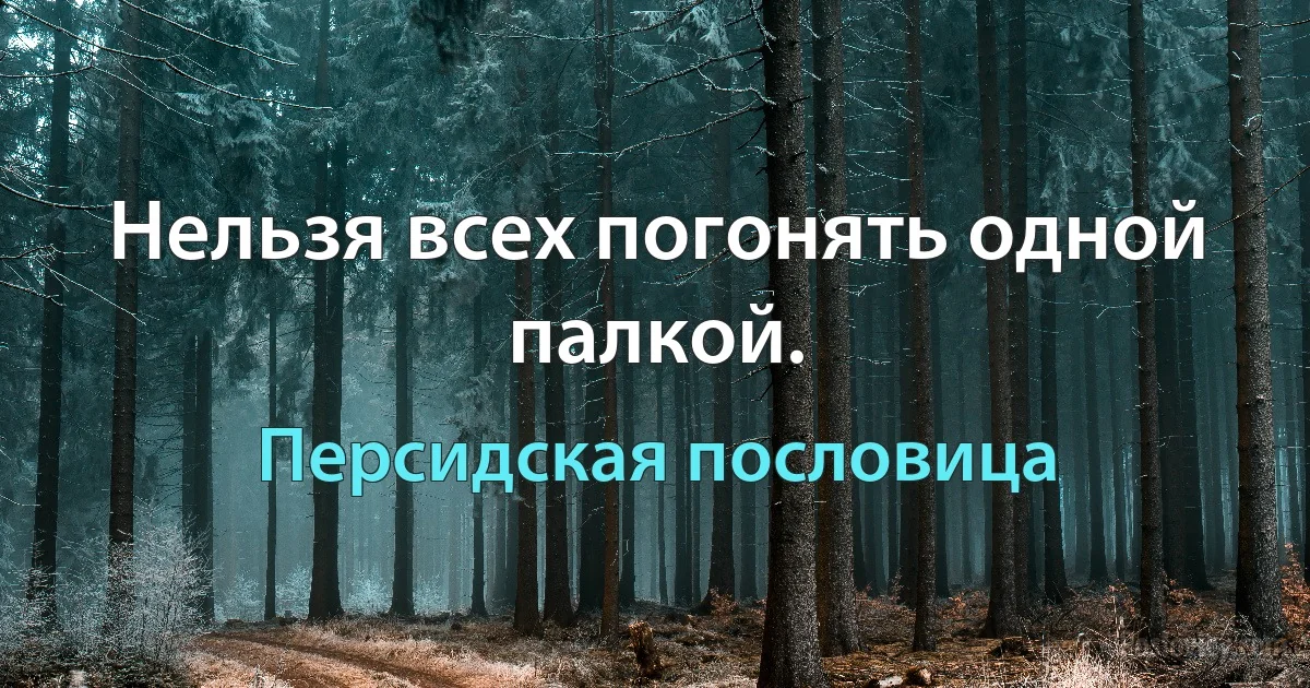 Нельзя всех погонять одной палкой. (Персидская пословица)