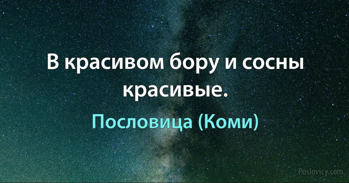 В красивом бору и сосны красивые. (Пословица (Коми))