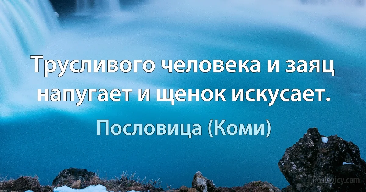 Трусливого человека и заяц напугает и щенок искусает. (Пословица (Коми))