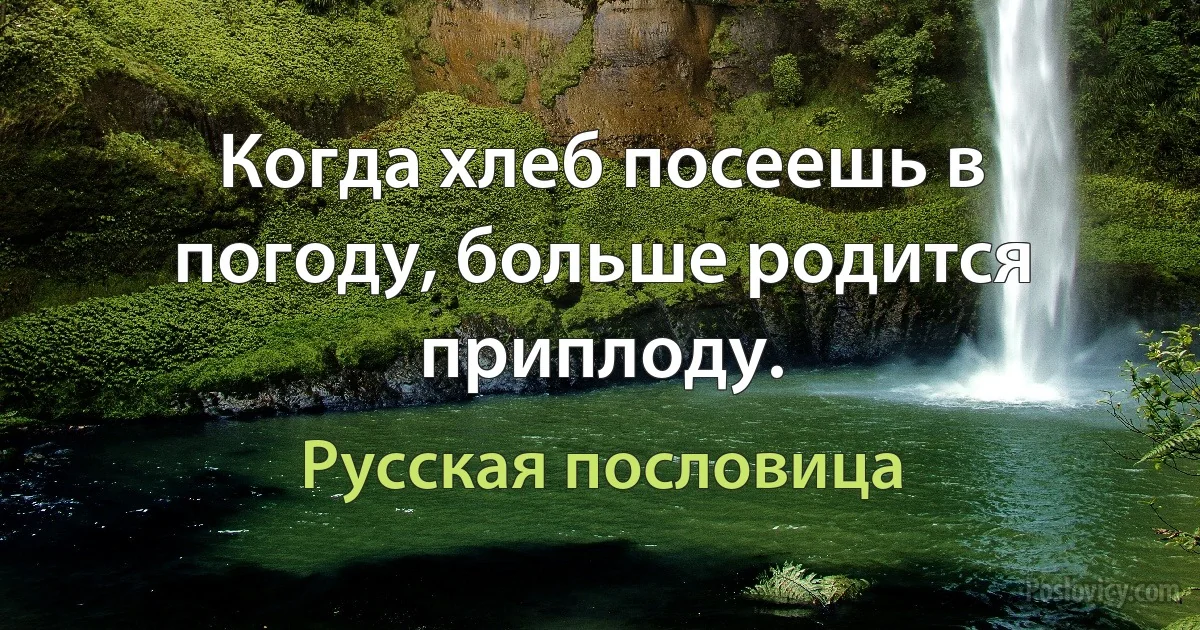 Когда хлеб посеешь в погоду, больше родится приплоду. (Русская пословица)