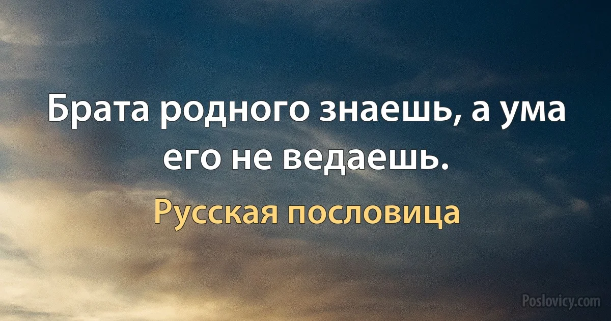 Брата родного знаешь, а ума его не ведаешь. (Русская пословица)